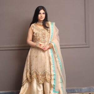 Frock Style Dress